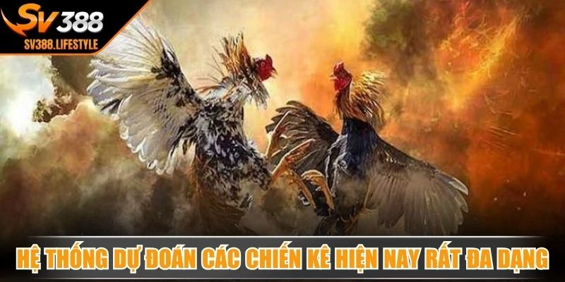 Hệ thống dự đoán các chiến kê hiện nay rất đa dạng, hấp dẫn