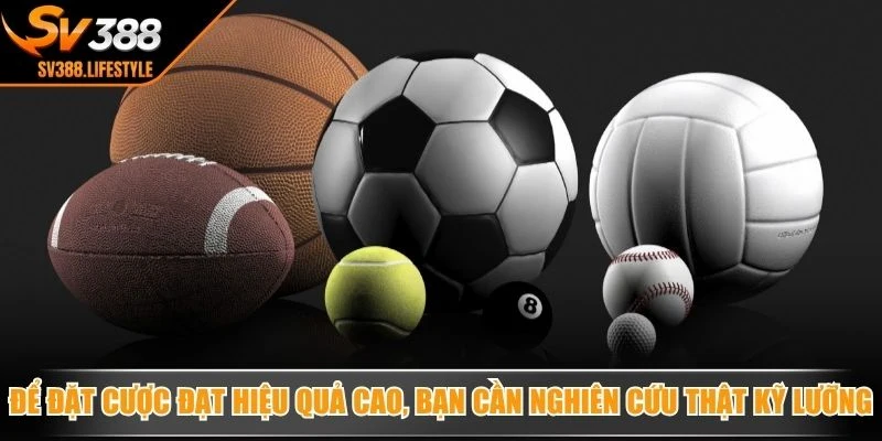 Để đặt cược đạt hiệu quả cao, bạn cần nghiên cứu thật kỹ lưỡng